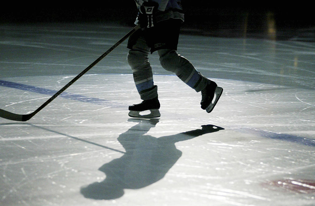 Eishockey: DEL 02/03