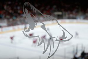 Anaheim Ducks v Arizona Coyotes
