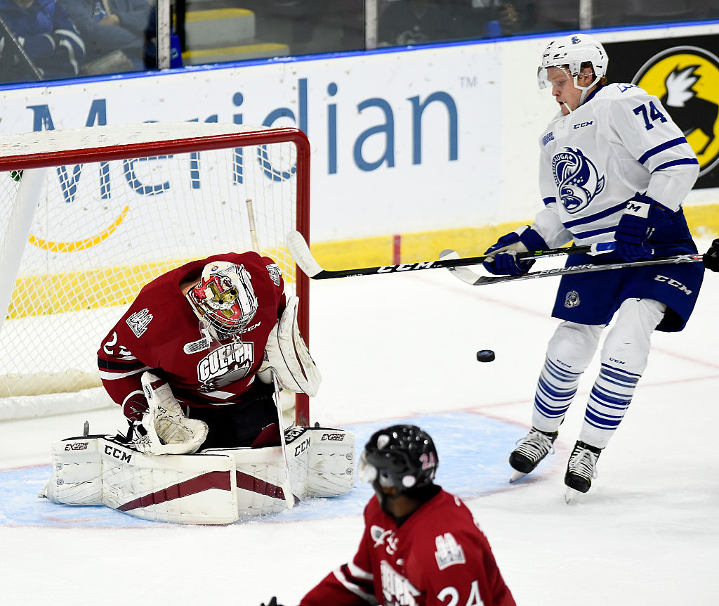 Guelph Storm v Mississauga Steelheads