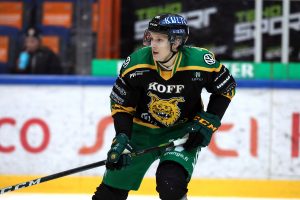 HPK – Ilves