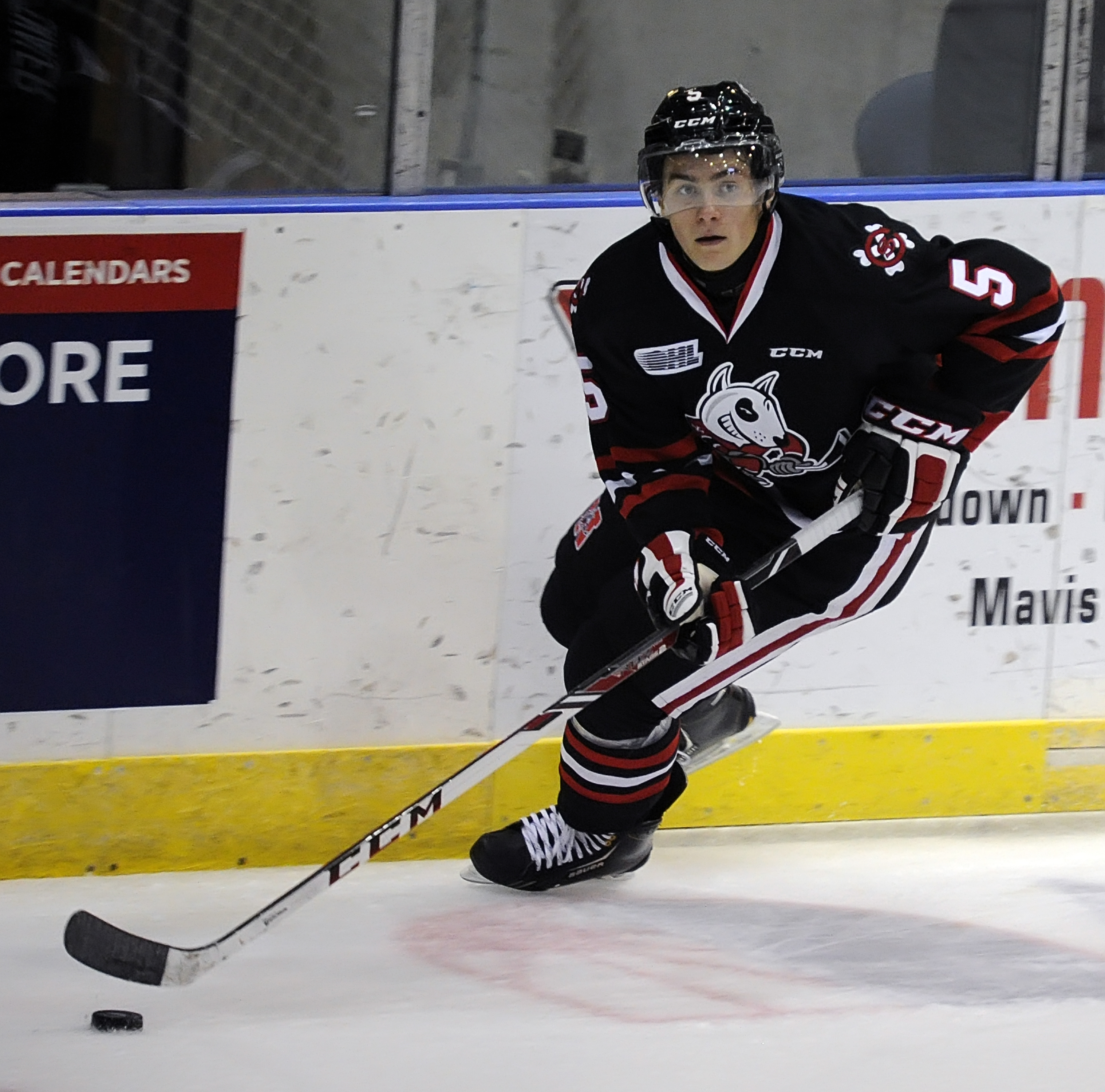 Niagara Icedogs v Mississauga Steelheads