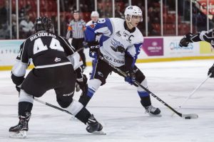 Saint John Sea Dogs v Gatineau Olympiques