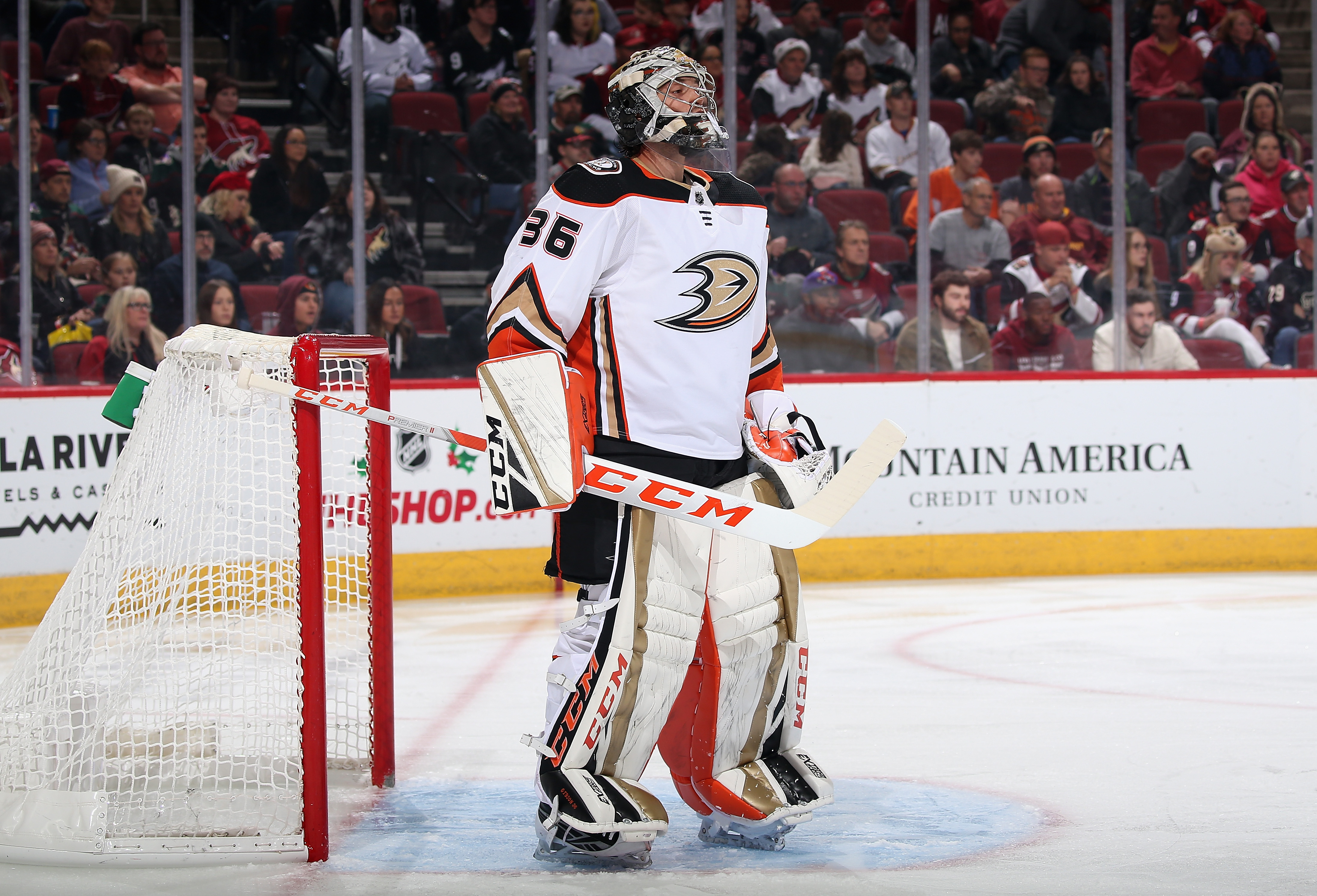 Anaheim Ducks v Arizona Coyotes