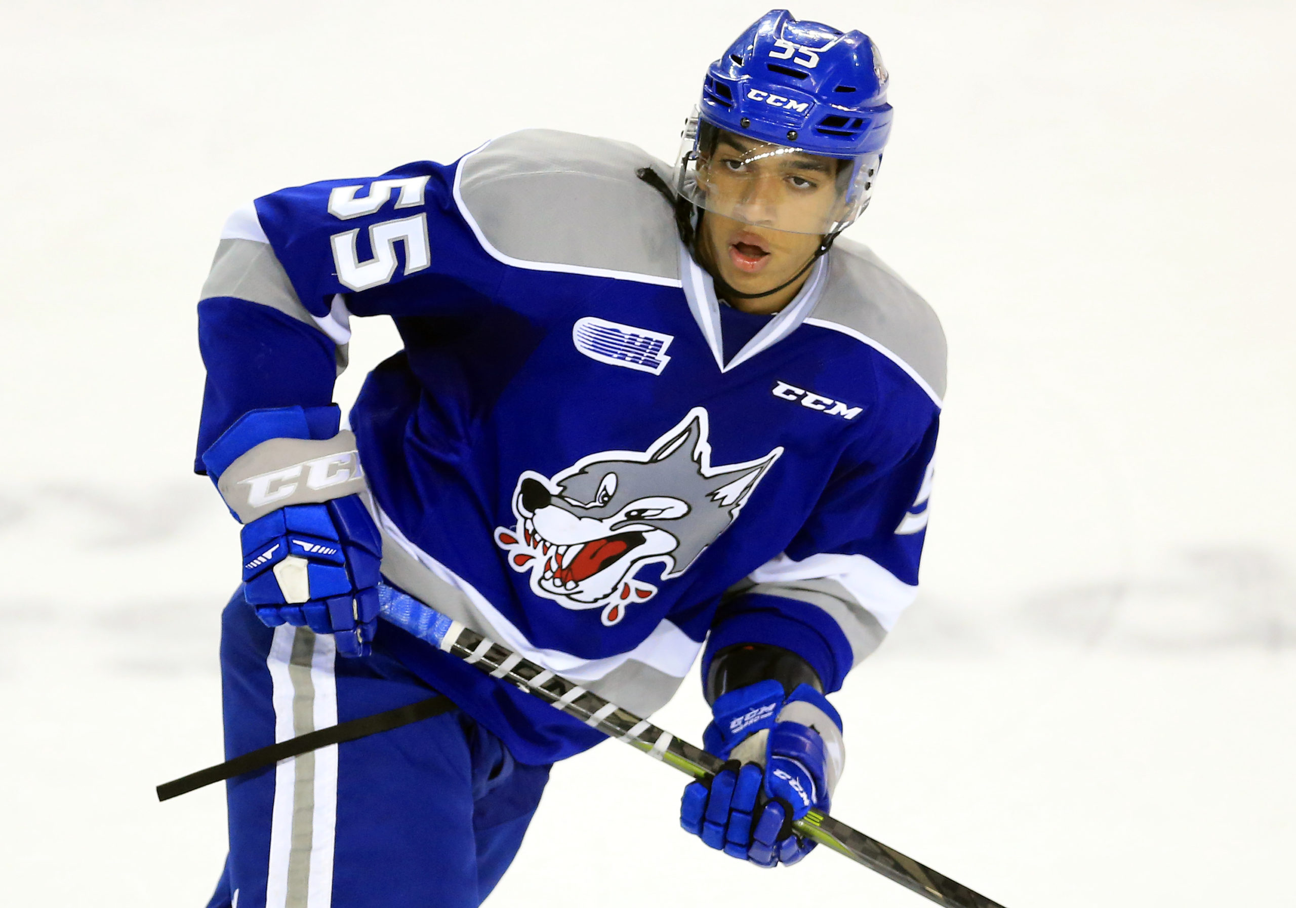 Sudbury Wolves v Niagara IceDogs