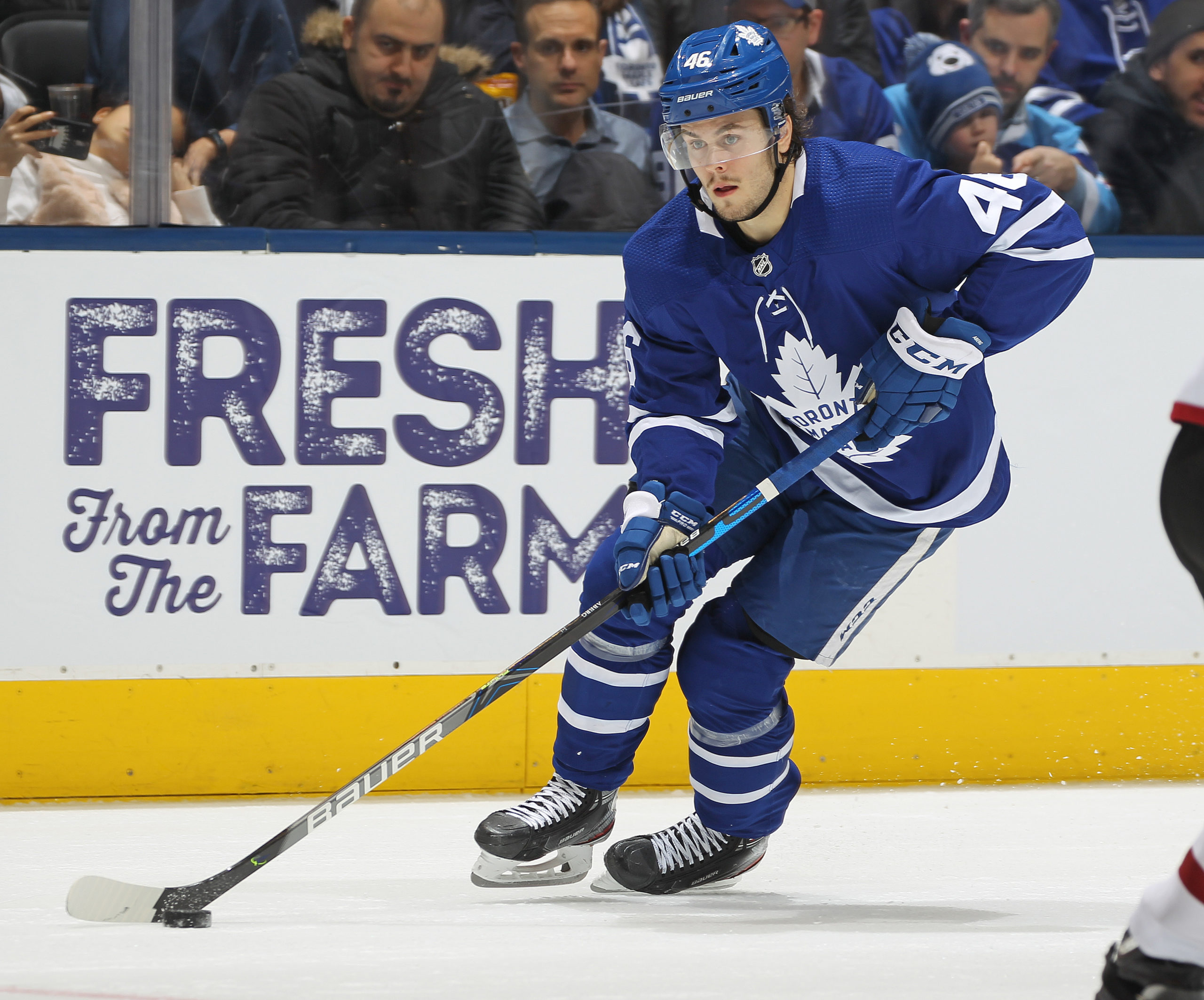 Arizona Coyotes v Toronto Maple Leafs