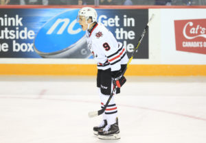 Sudbury Wolves v Niagara IceDogs