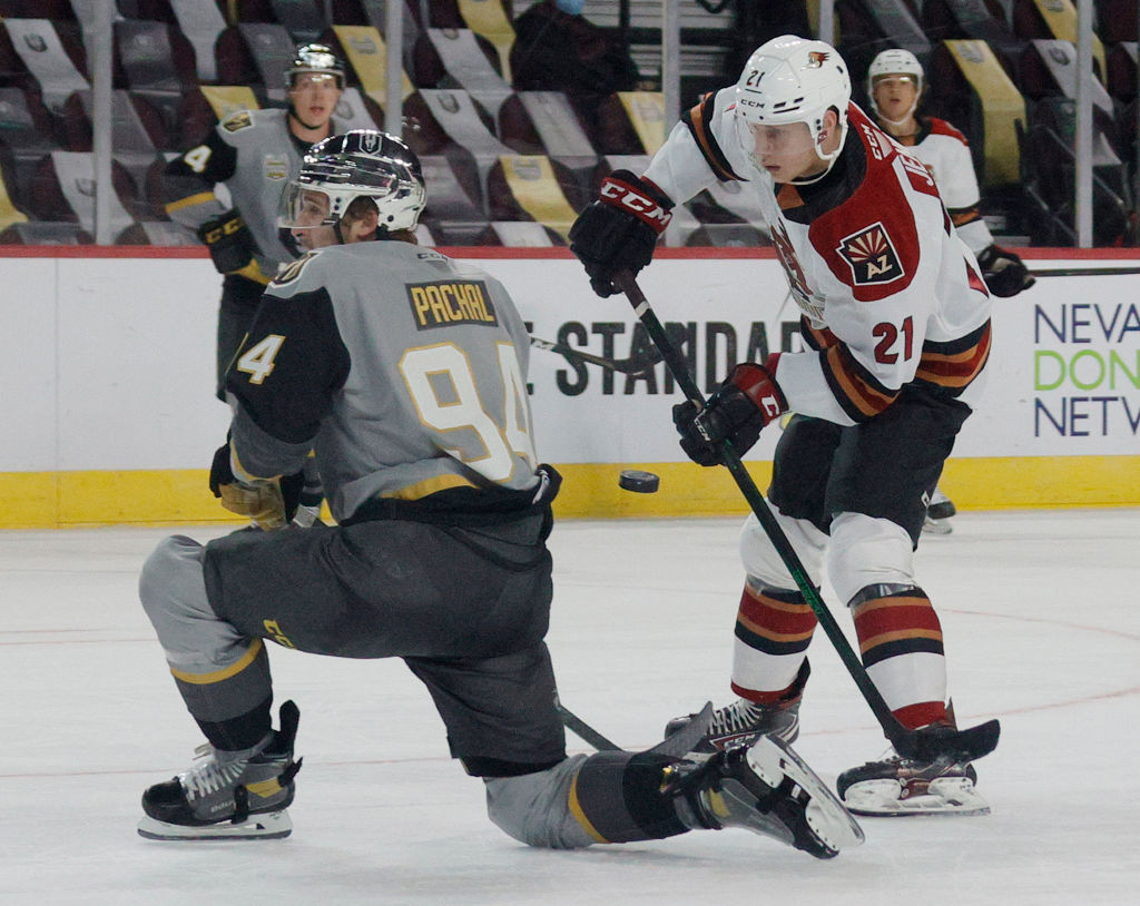 Tucson Roadrunners v Henderson Silver Knights