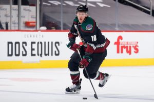 Anaheim Ducks v Arizona Coyotes