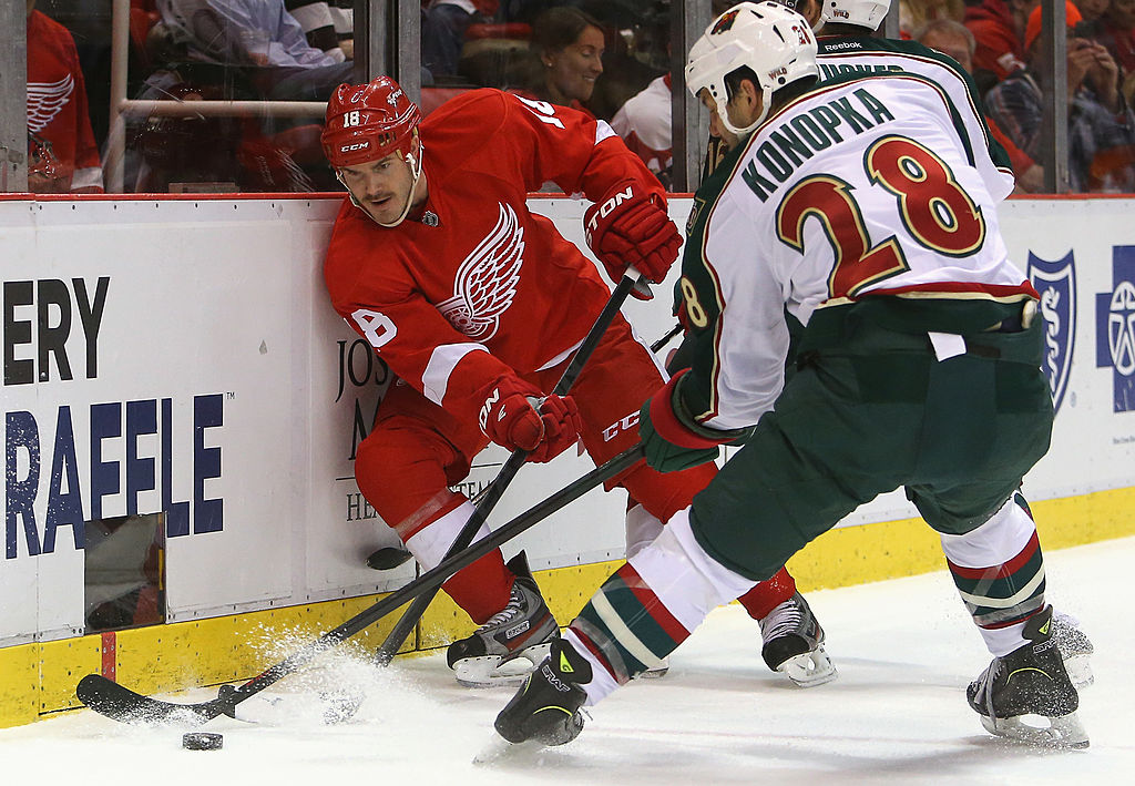 Minnesota Wild v Detroit Red Wings