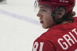 aop_gritsjukarseni20250506