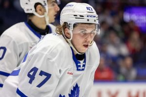 aop_niemelatopi20250623