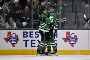 aop_heiskanenmirorantanenmikko20251107