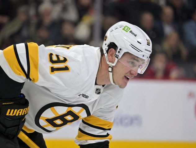 aop_zadorovnikita20251127