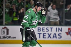 aop_rantanenmikko20251216