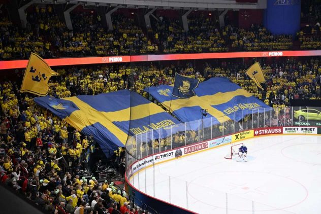 aop_ruotsikuvitus20250524