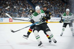 aop_kolyachonokvladislav20260121