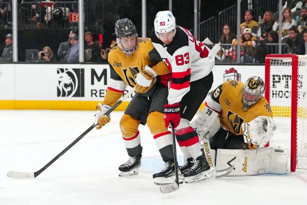 aop_lammikkojuho20260112