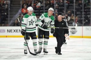 aop_hintzheiskanen20260416