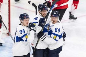 aop_leijonatbarkovaleksander20260601