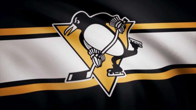 aop_pittsburghnhllogokuvitus20180816